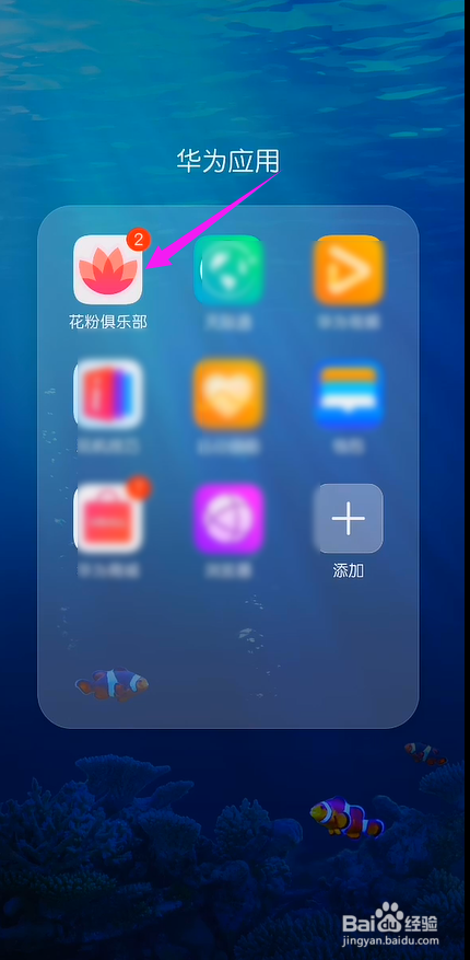 花粉俱乐部怎么报名内测