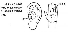 治疗头痛的十个特效穴