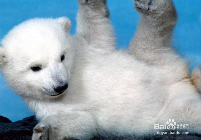 骨髓炎 能治好吗