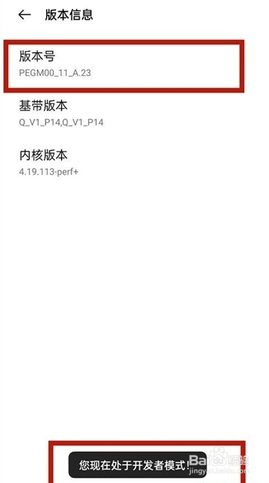 一加9r开发者模式在如何进