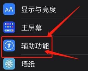 苹果12无缘无故跳反转色?