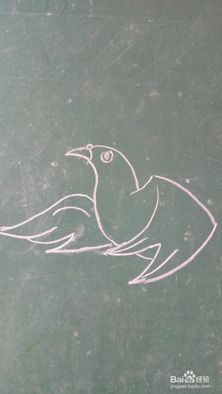 儿童简笔画鸽子的画法