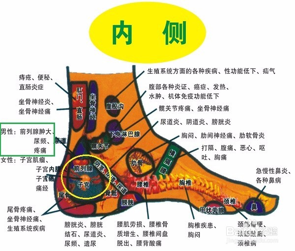 乳腺癌怎么办？