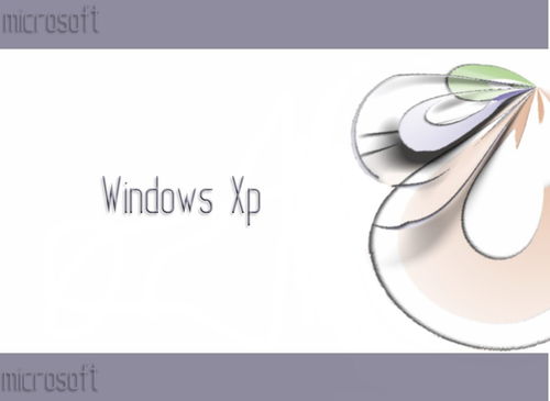 优化windows xp系统大策略,优化技巧经验分享
