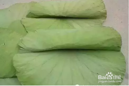 荷叶泡水喝的益处，健体护身