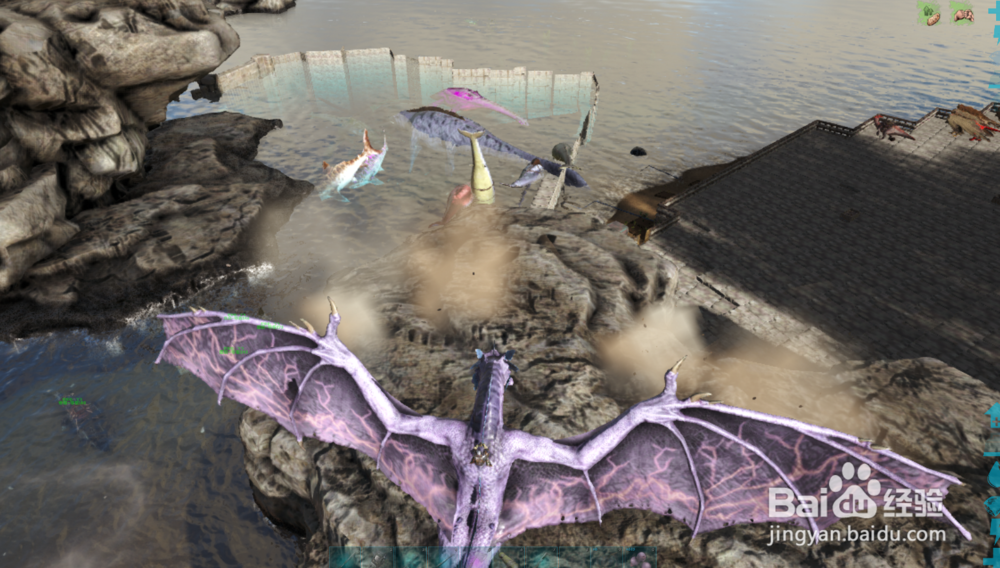 方舟生存进化怎样驯服蝠鲼