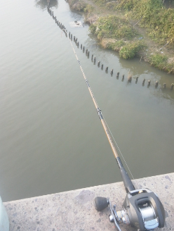 钓鱼必备知识《抛竿篇》