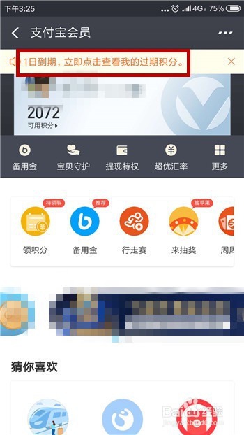 支付宝蚂蚁积分什么时候清零