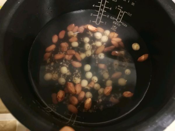 牛奶血糯米银耳羹