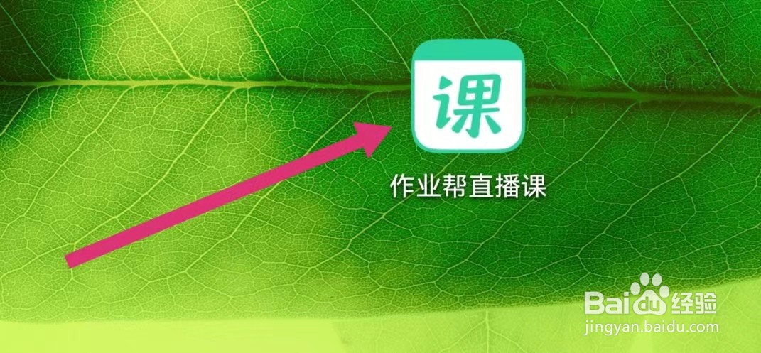 作业帮直播课APP公示信息在哪里查看