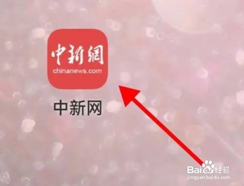 如何查看中新网的今日任务