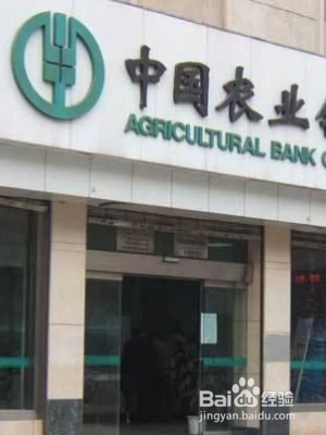 中国农业银行app登录不了