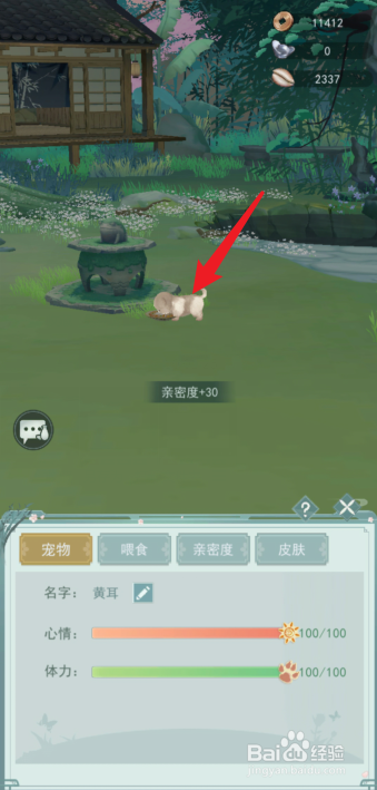 江湖悠悠宠物怎么改名