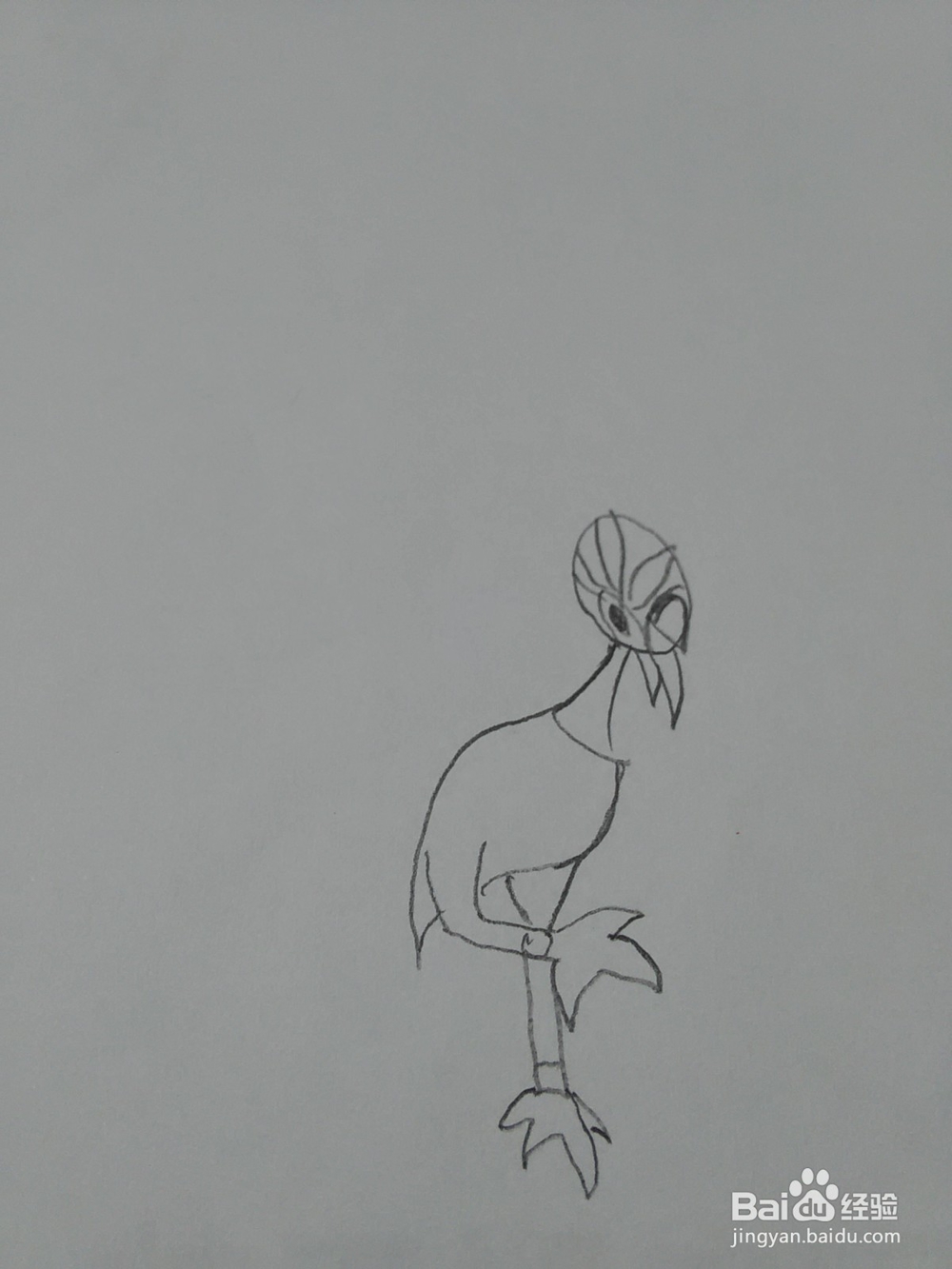 猪猪侠火焰鹤怎么画