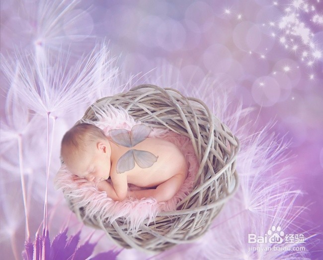 癌症的初步了解和预防（个人观点）