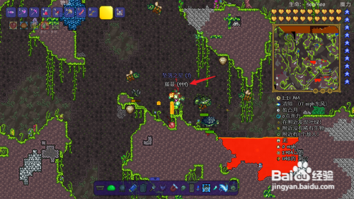 泰拉瑞亚荆棘鞭攻略