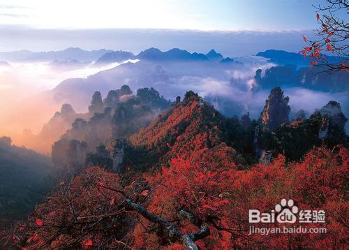 张家界旅游攻略—最详细实用的必备资料