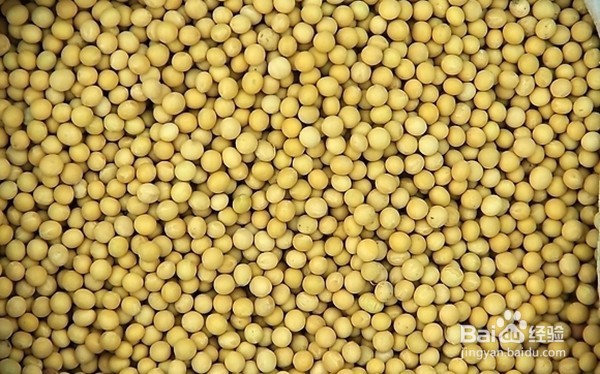 男性保健的方法及食物