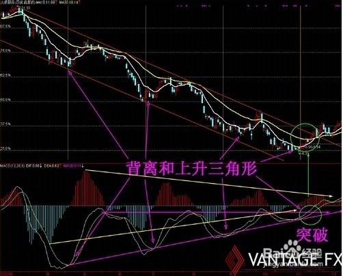 MT4指标——MACD与RSI详解