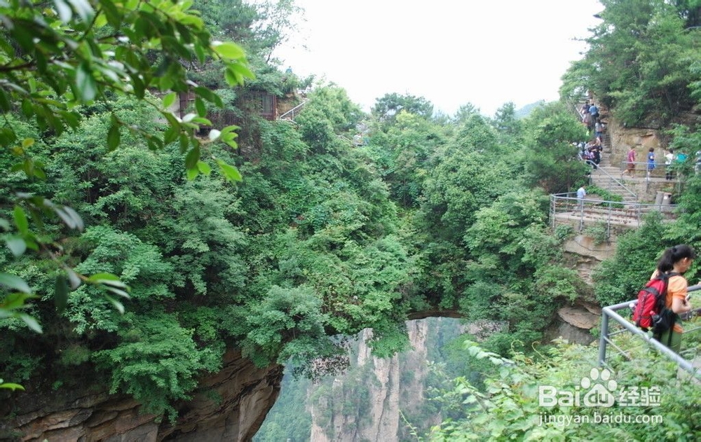 张家界跟团自助游