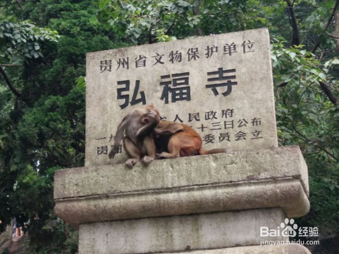 城市的氧吧--贵阳黔灵山【国家4A景区】