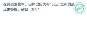 贝类中因体型大称为贝王的是？神奇海洋8.28答案