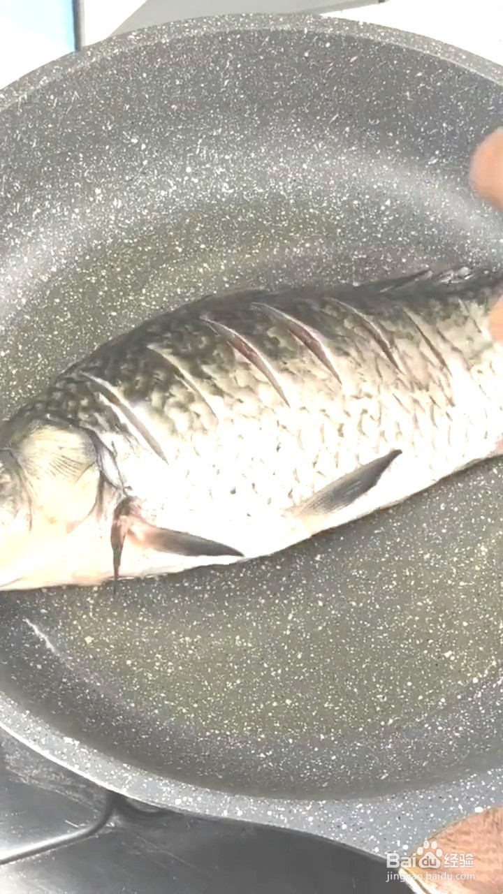 如何制作红烧鲫鱼？
