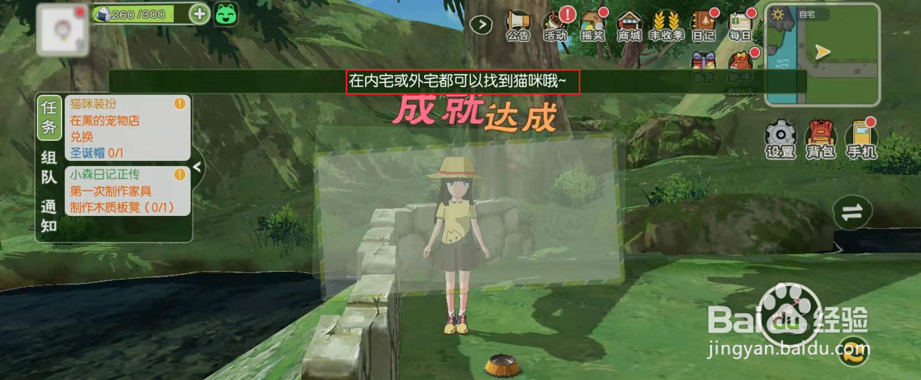 小森生活怎么领养小猫
