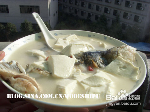 鱼头豆腐汤