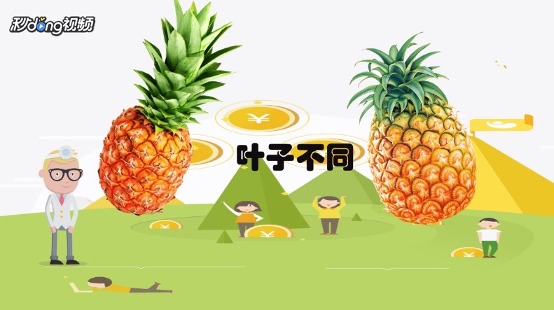 凤梨和菠萝有什么区别