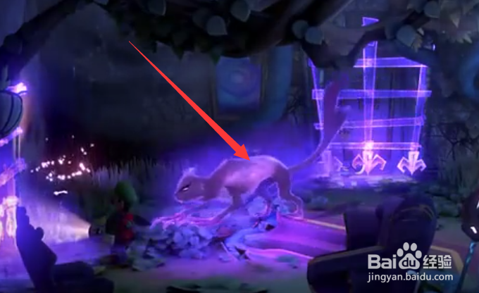 7楼鬼怪猫怎么抓