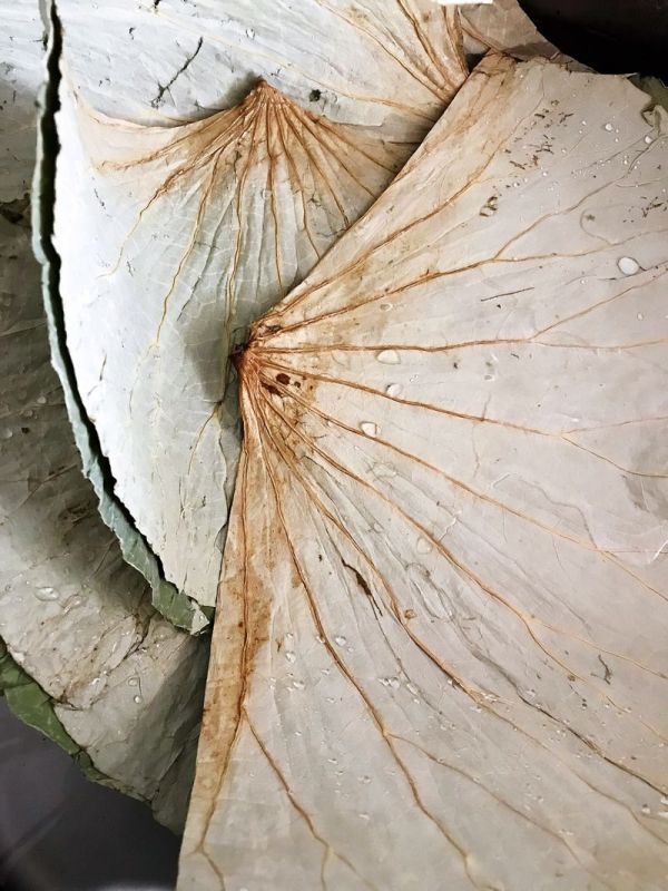 咸蛋火腿腊肉粽