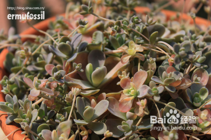 2012年6月23日 记录