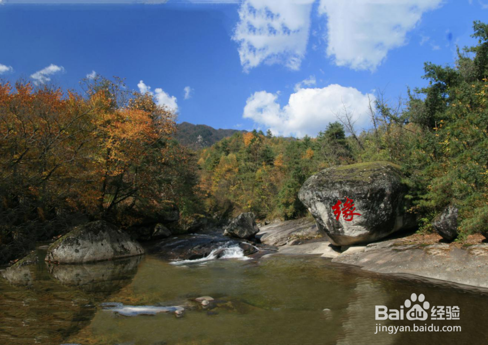 陕西云雾山景区游览攻略