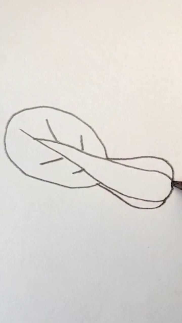 育儿简笔画白菜怎么画