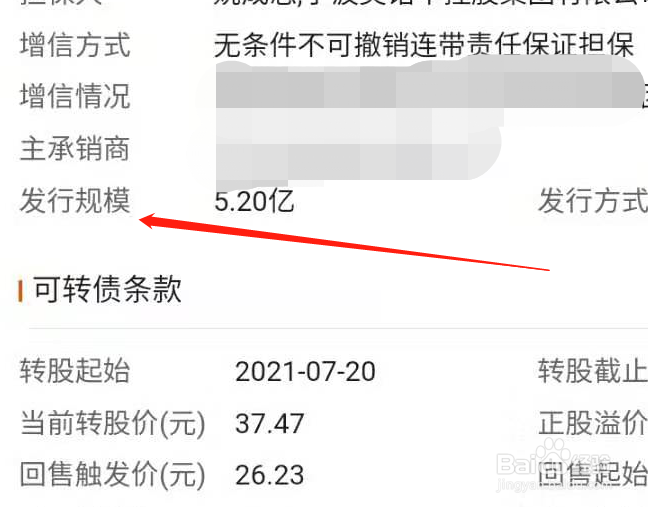 东方财富怎么查询个股可转债的发行规模
