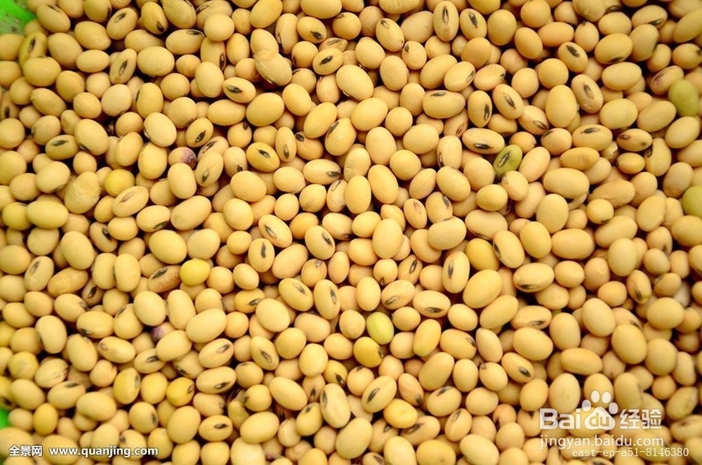 适合孕妇的缓解便秘食物