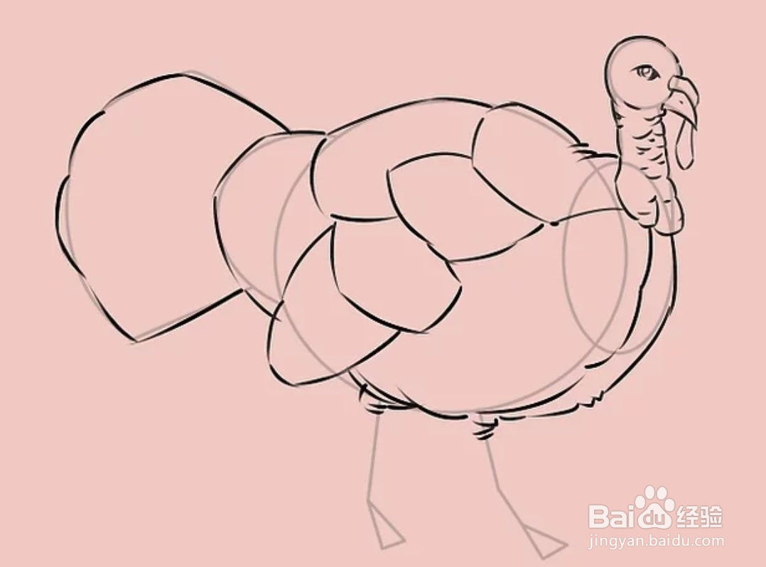 如何画一只火鸡