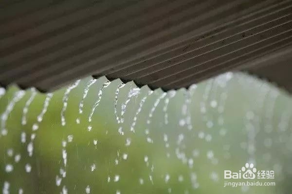 七个摄影小技巧,让你在雨天也能拍出好照片