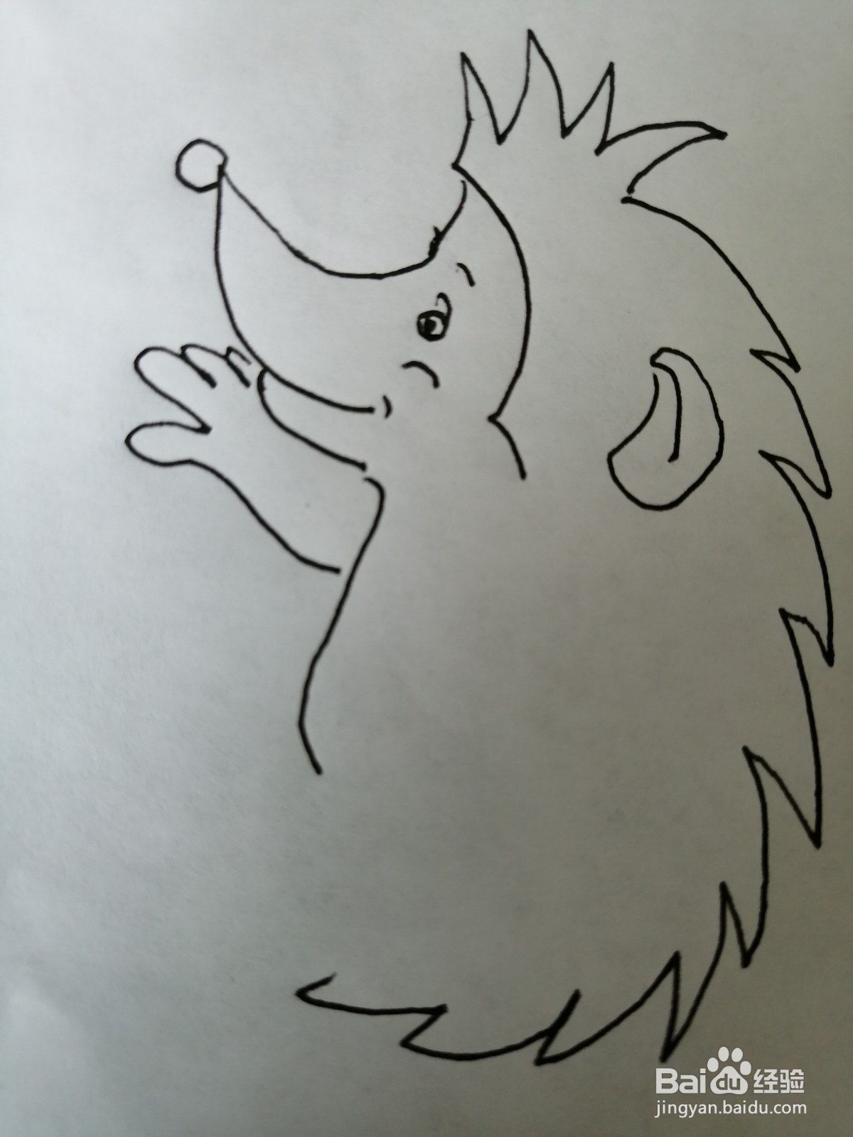简笔画刺猬怎么画