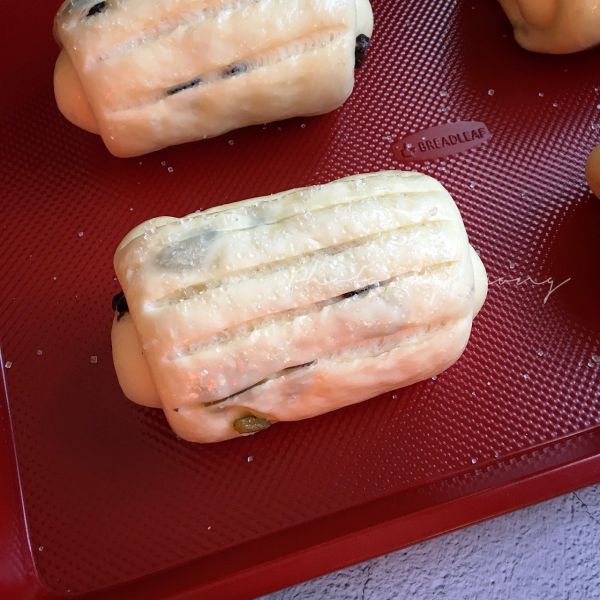 葡萄干浓香牛奶哈斯