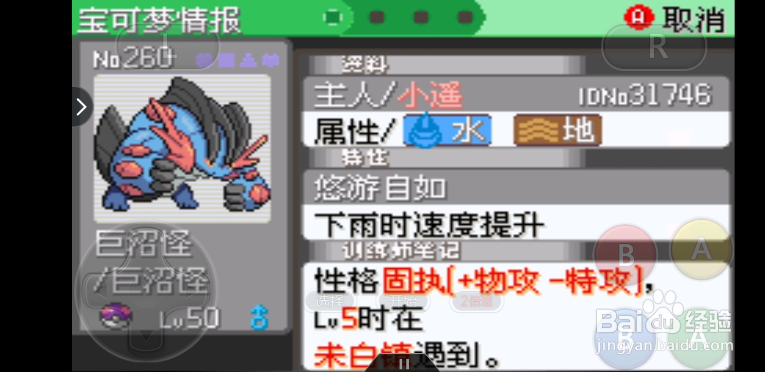 口袋妖怪雨天队介绍