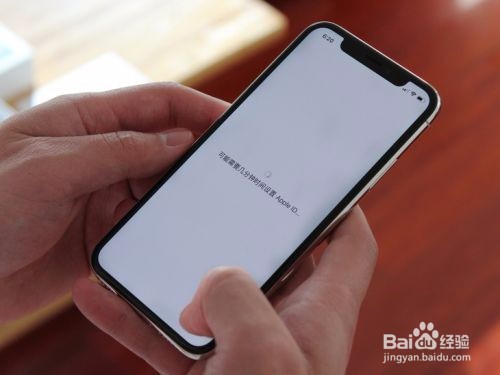 iphone x屏幕失灵怎么办