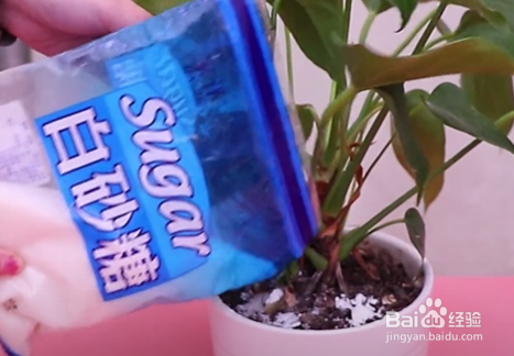 白糖加上小苏打都有哪些妙用