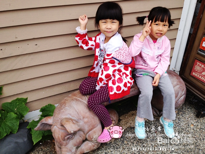 教你做吮指酒糟凤爪