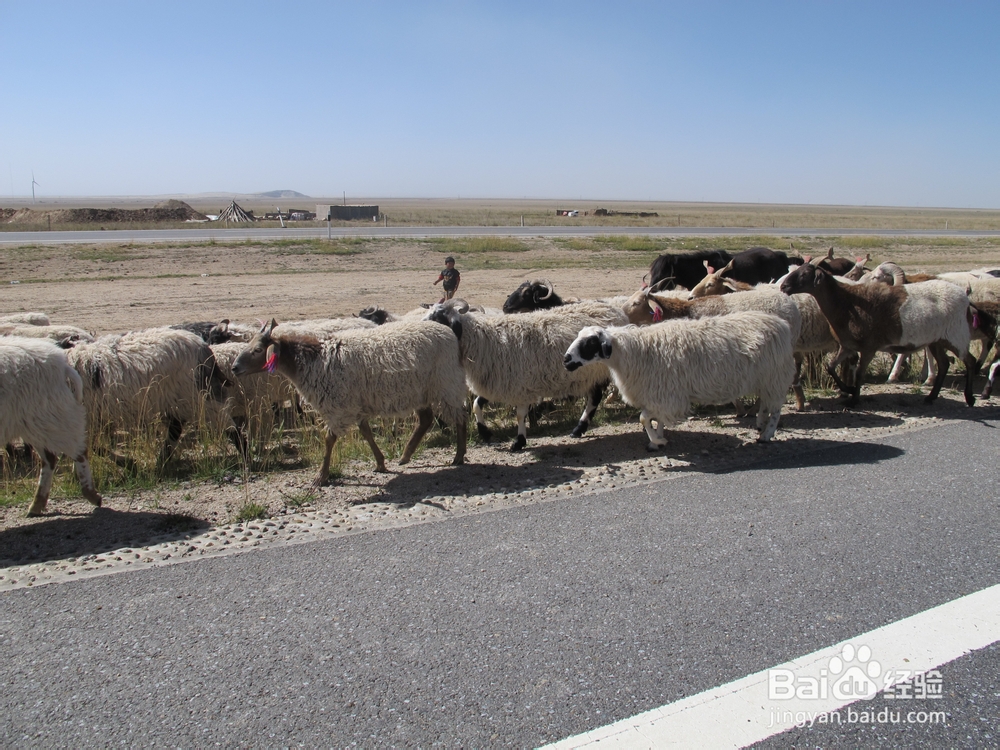 穿越青藏线：[1]自驾