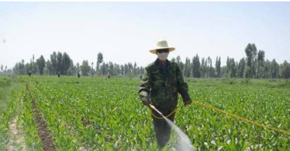 蜗牛吃玉米苗怎样防治