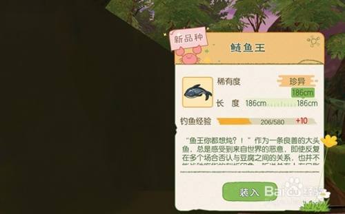 小森生活鲢鱼王哪里概率高