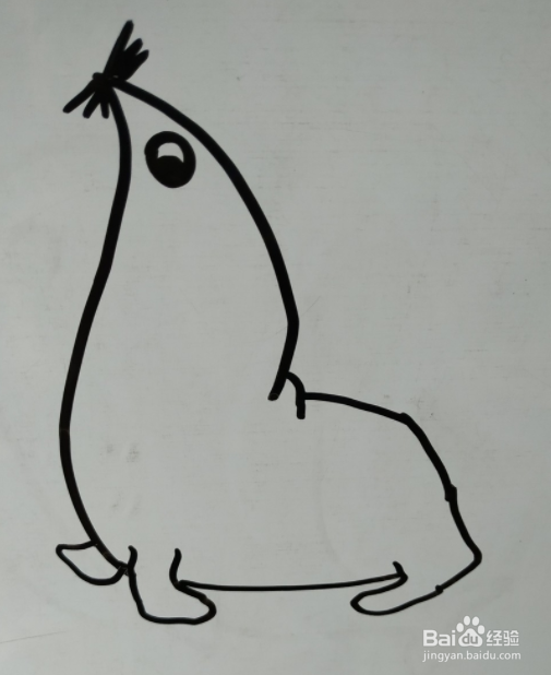 如何画海狮的儿童画？