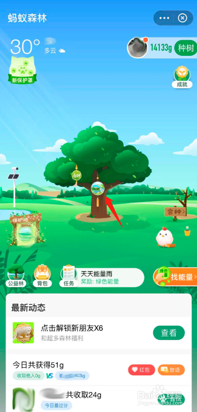 蚂蚁森林森友会活动挂件如何挂在小树上？